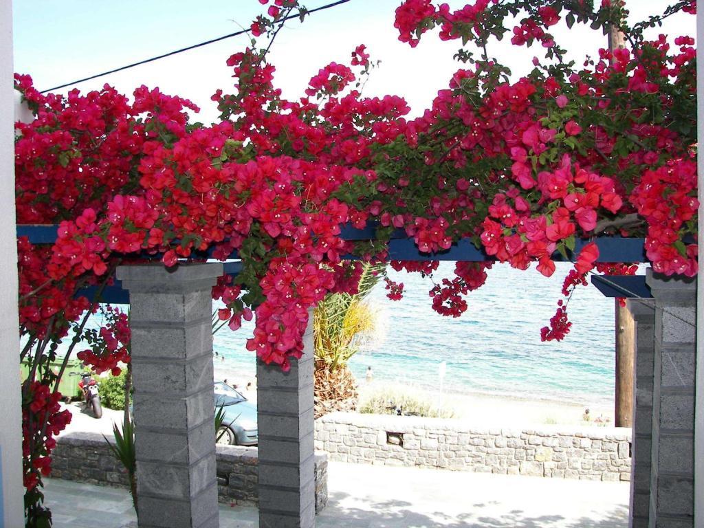 Theoxenia Chios Apartments Paralia Agias Foteinis Екстер'єр фото